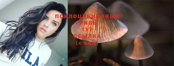 молекула духа Баксан